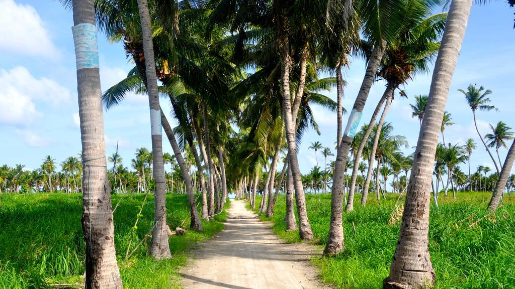 Holiday Cottage Thoddoo, Maldives Buitenkant foto